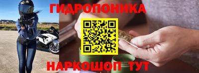 apvp Гусь-Хрустальный