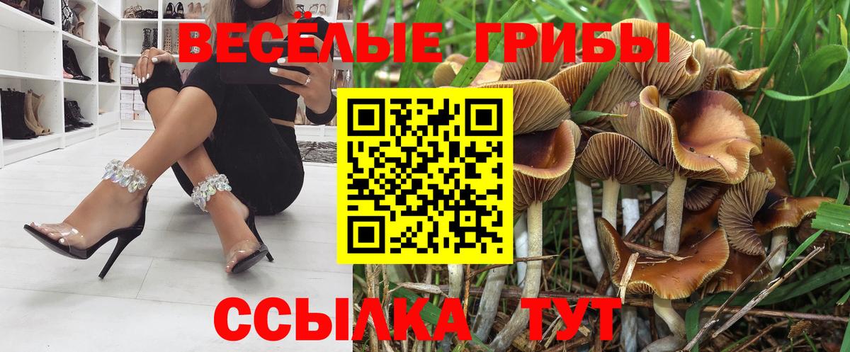 Галлюциногенные грибы Magic Shrooms  Вход с VPN  Воскресенск  Псилоцибиновые грибы ЛСД 