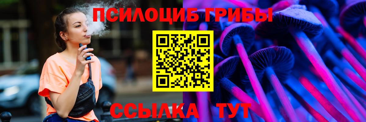 Псилоцибиновые грибы Psilocybine cubensis Воскресенск
